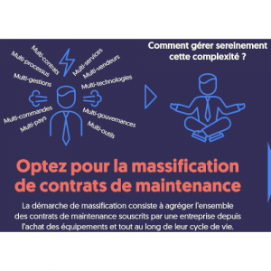 Résumé de l'infographie de notre service de massification des contrats de maintenance IT